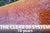 Locust after 10 years, maintained as needed with XT Clear 00