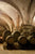 LIME PRIME - MOLD ABATEMENT / REMEDIATION