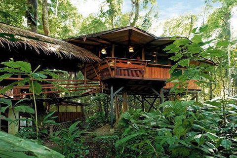 RAINFOREST SEALER