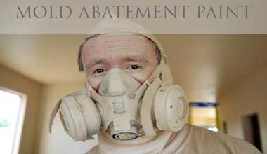 Mold Abatement Projects