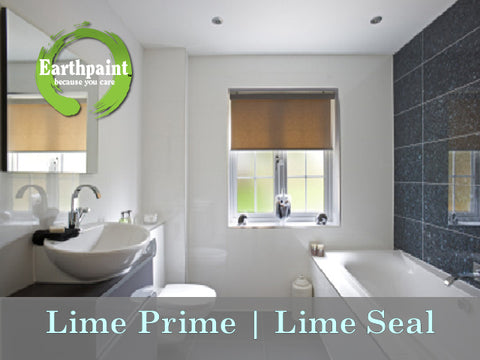 LIME SEAL - MOLD RESISTANT TOP COAT